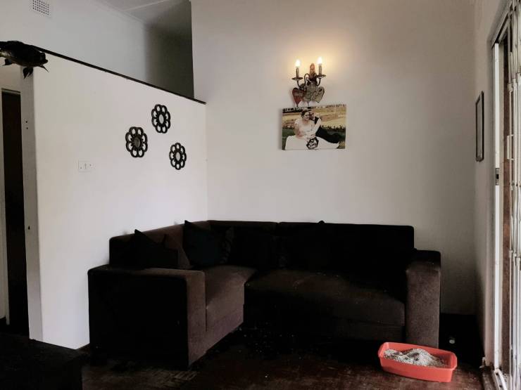 WhatsApp Image 2022-09-13 at 2.58.09 PM (2)